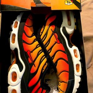 Nike air max plus